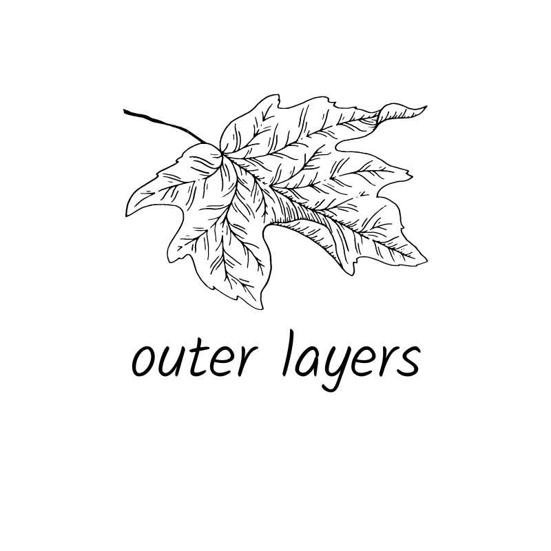 Outer Layer